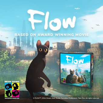 Flow - gra planszowa i puzzle